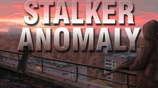 Deeper Into the Zone  STALKER Anomaly [upl. by Nevah]