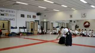 Yoseikan Aikido  1st dan exam Sam Sosef  Free presentation [upl. by Samtsirhc]