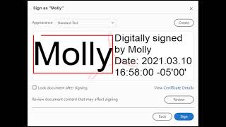 Creating a Digital Signature for PDF Adobe DC [upl. by Ecnarretal]