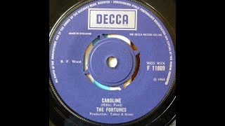 The Fortunes  Caroline [upl. by Sturdivant]