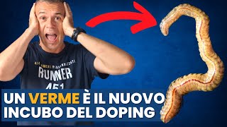 Il VERME MARINO che rivoluziona il DOPING e SPAVENTA lo SPORT  Arenicola marina [upl. by Sandler381]