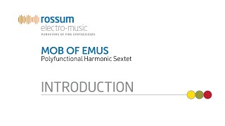 Rossum ElectroMusic Mob Of Emus Polyfunctional Harmonic Sextet [upl. by Allertse]