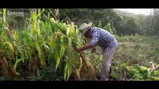 VELOZ DE LA SIERRA  LA VIDA EN EL CAMPO VIDEO OFICIAL [upl. by Pier]