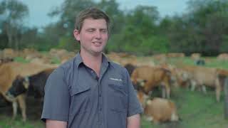 InCalf case study Brian Chappell – Automated Heat Detection in a YearRound Herd [upl. by Yerdua]