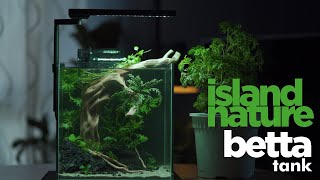 Betta tank island nature nano aquascape step by step [upl. by Nnaegroeg]