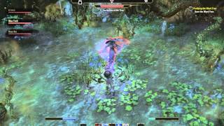 ESO Corruption of the Tree Save the Wyrd Tree How to [upl. by Donohue832]