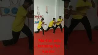 Mix Martial art training 💯😱sports shortsfeed youtubeshorts new viral trending like no 894 [upl. by Yetty]