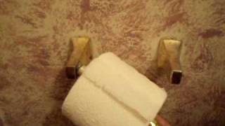 Training Video How to Change the Toilet Paper Roll [upl. by Biagio618]