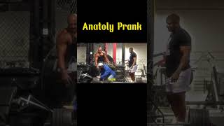 Anatoly Prank With Big Guy II 😂😂 anatoly prank gym [upl. by Buhler]