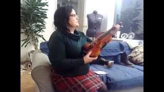 Violin Stentor Messina [upl. by Laetitia]