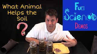 What Animal Helps the Soil [upl. by Novyaj]