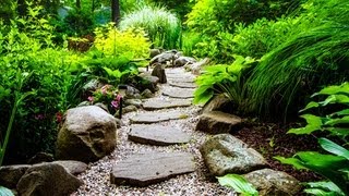 Garden Photography Tips [upl. by Nytram]