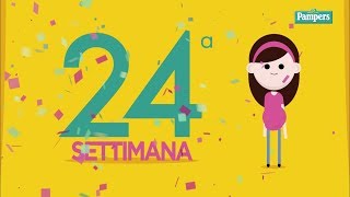 24° settimana di gravidanza [upl. by Elvyn]