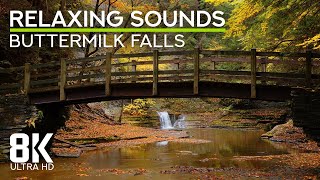 Calming Forest Waterfall Ambience with Stream Flowing Sound  8K Buttermilk Falls State Park NY [upl. by Josler]