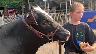 Schuylkill County Fair 4 HFFA Livestock Auction [upl. by Croydon170]