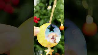 Custom Photo Memorial The Brightest Star  Personalized Wooden Ornament With Wooden Tag [upl. by Shir]