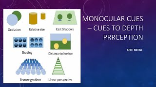 MONOCULAR CUES TO DEPTH PERCEPTION  Lecture by Kriti Mitra [upl. by Macpherson182]