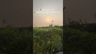 Farmlands For Sale In Noida Sector 151 Near Delhi 1008sqyards farmland farmlands farmhouse farm [upl. by Jackson]