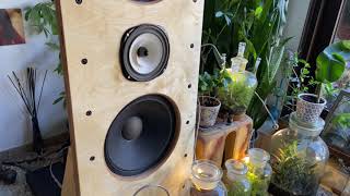 open baffle speakers  Eminence Alpha 15 A and Lowther PM2A on 6 Hypex ncore 400 [upl. by Nivk665]