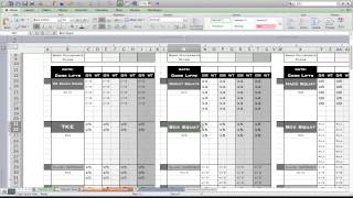 Personal Training Workout Log from Excel Training Designs [upl. by Adham447]