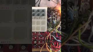 music modularsynth synth eurorack synthesizer livemodular [upl. by Chevy296]