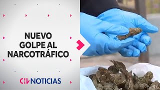 21 NARCOS DETENIDOS Incautan armas y 850 millones en droga tras allanamiento [upl. by Garcon172]