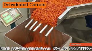 Dehydrated Carrots Supplier carrot driedcarrot [upl. by Ettigirb]