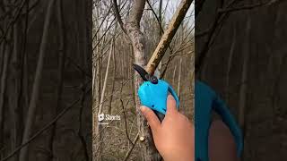 New power tool to prune trees faster 👍 [upl. by Eynenihc]