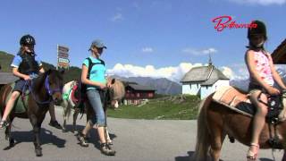 Sommer auf der Bettmeralp [upl. by Alton150]