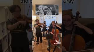 Infinitely Gray  すりぃ  Piano Trio cover colorfulstage pjsk プロセカ violin cello piano music [upl. by Egroeg]