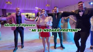 SandicaFilipescu si Formatia Montana  Mi se insoara prietenii  Cover Live  Sarbe 2024 [upl. by Sidwohl]