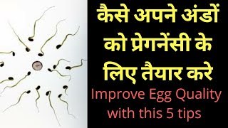 improve egg quality with 5 tips  5 most effective tips to improve egg quality  heenahealth [upl. by Nahgeem]