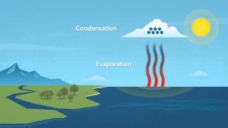 How does rain form and what is the water cycle [upl. by Tnarb]