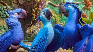 Rio 2  Beautiful Creatures scene [upl. by Dadirac]