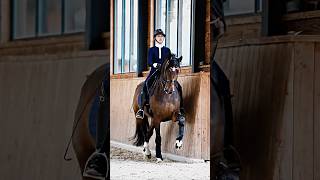 beauty of dressage ⭐️ horse dressage sports edit animals audio by me [upl. by Nilrev]