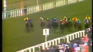 Horse Racing 1983 Coventry Stakes Ascot Chief Singer [upl. by Leuqcar570]