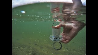 Taking our oceans pulse Underwater Backscattering Networking [upl. by Kelbee]