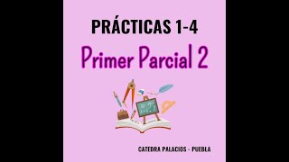 Primer parcial – Modelo 2 [upl. by Claudio]