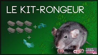 Comment tuer les rats et les rongeurs des champs [upl. by Naeerb]