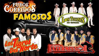 Puros Corridos Exitos Mix 2024  Los Tucanes De Tijuana Los Tigres Del Norte Grupo Exterminador [upl. by Ahsikit]