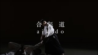 What is Aikido Introductory video full version [upl. by Ellehctim]