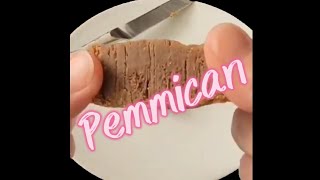 Pemmican [upl. by Ponce]