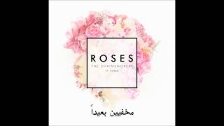 the chainsmokers Roses ft Rozes مترجمة [upl. by Alleuqahs]