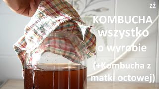 Kombucha  jak zrobić odc poprawiony Wszystko o produkcji kombuchy Kombucha z matki octowej [upl. by Meensat165]