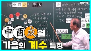 중급 272강 신유술월 가을의 계수 특징 🌾 [upl. by Darnoc]