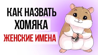 Как назвать хомяка девочку [upl. by Flavia18]