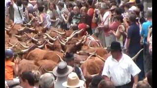 TRANSHUMANCE FESTIVAL ALLANCHE THE AUVERGNE [upl. by Barhos]