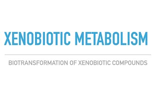 Xenobiotics Metabolism Biochemistry  2nd year MBBS BDS Xeno [upl. by Sunshine]