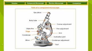 Microscope [upl. by Jemmy]