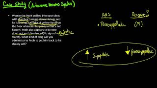 Autonomic Nervous System Case Study [upl. by Tempest100]